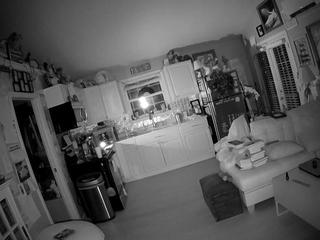 voyeurcam-bridgetleewalters-01